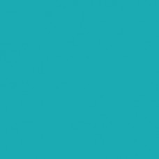 Winsor & Newton Brushmarker - Turquoise (C247) 