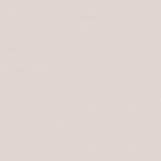 Winsor & Newton Brushmarker - Warm Grey 1 (Wg1)