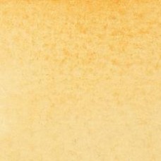 Winsor & Newton Water Colour Marker - Raw Sienna (552)