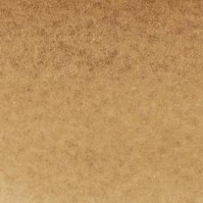 Winsor & Newton Water Colour Marker - Raw Umber (554)