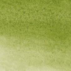 Winsor & Newton Water Colour Marker - Sap Green (599)