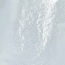 Imitation Light Champagne leaf loose 500 leaves [Super High Gloss]