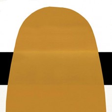 Golden Fluid Acrylics Iridescent Gold (fine) 30ml