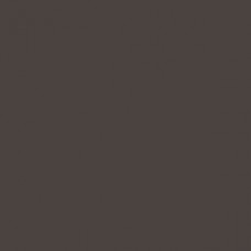 Golden Fluid Acrylics Raw Umber 30ml