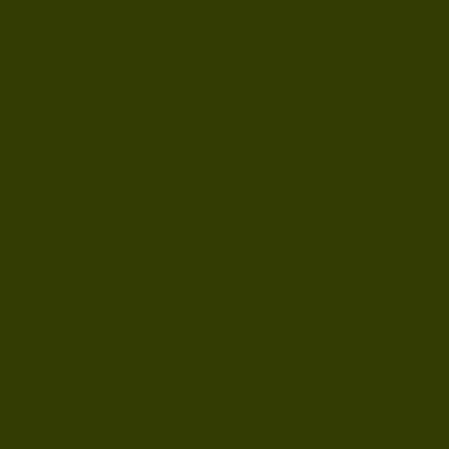 Bright Olive Green Paint Bright Olive Green Paint