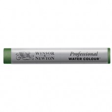 Winsor & Newton Professional Watercolour Stick - Hooker's Green (311)