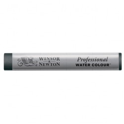 Winsor & Newton Professional Watercolour Stick - Payne's Gray (465)