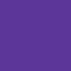 Tombow Dual Brush Pen - Imperial Purple (636)