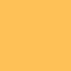 Tombow Dual Brush Pen - Light Ochre (991)