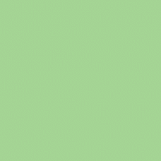 Tombow Dual Brush Pen - Mint (243)