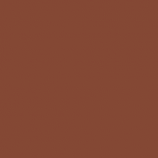 Tombow Dual Brush Pen - Redwood (899)