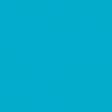 Tombow Dual Brush Pen - Turquoise (443)