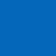 Tombow Dual Brush Pen - Ultramarine (555)